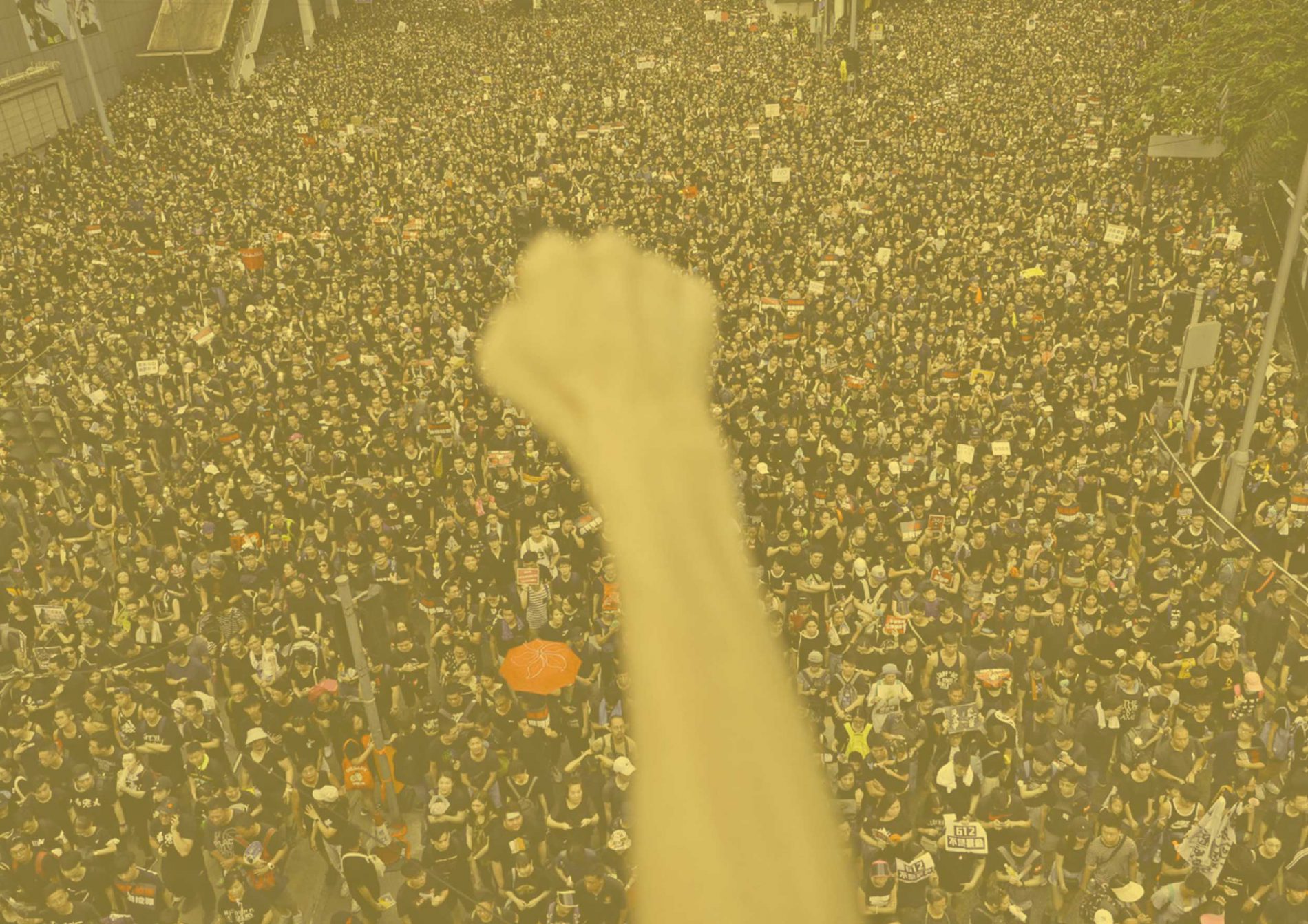 Hong Kong Mass Protest