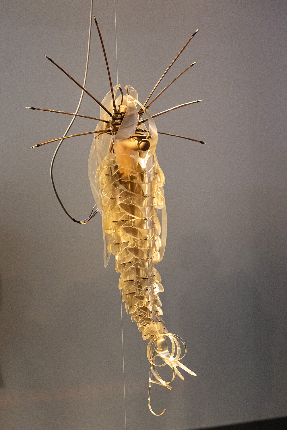 Sculpture exhibited in the Lentos Museum, Linz