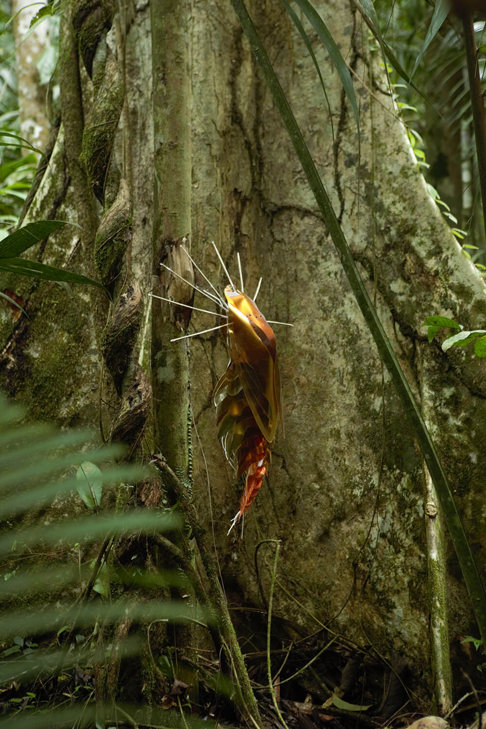 Sarapiqui forest sculpture