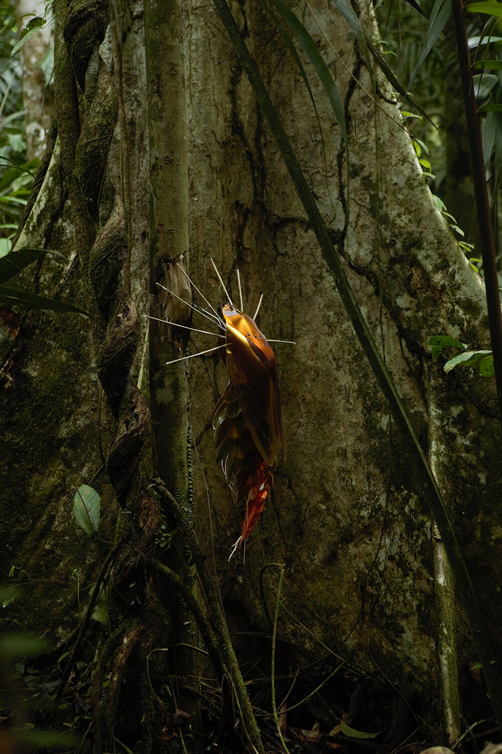 Sarapiqui forest sculpture